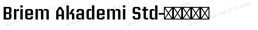 Briem Akademi Std字体转换